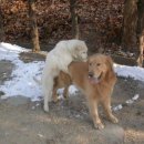 어울림B 이미지