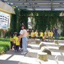 아이아띠유치원 이미지