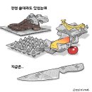 한국 언론들 상황 이미지