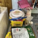 햇살가득농장펜션 이미지