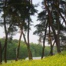 솔밭농장 이미지