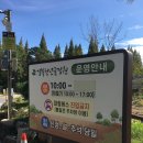 천년숲 | [경주 가볼 만한 곳] 코스모스 사진 찍기 좋은 곳 / 데이트 장소 추천 &#34;경북 천년 숲 정원&#34; 후기