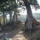 올리브커플펜션 이미지