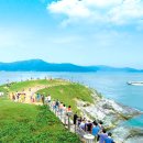 바람의언덕 이미지