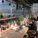 성지농원 이미지