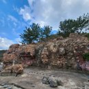 파리바게뜨 포항환호점 이미지