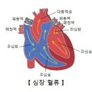 고혈압의 정의 , 원인, 증상, 진단, 경과/합병증, 치료, 주의사항 이미지