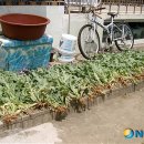 동해-단속-13 이미지