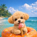 이솜동물병원 이미지