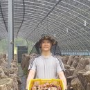 옛산골농장 네이버블로그