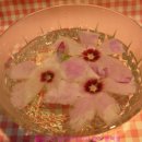 무궁화로 이미지