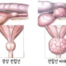 동탄중앙동물병원 이미지