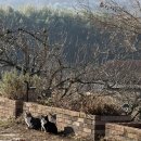 빠이책방 | 하동 빠이책방 후기｜조용한 하루에 스며드는 하동 감성 책방