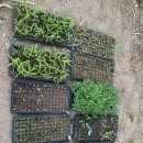 나누리농원 이미지