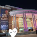 [공연후기] 노트르담 드 파리 프렌치 오리지널 - 대구 계명대학교