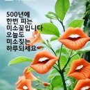 100번째손님 이미지