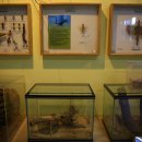 순천곤충박물관 이미지