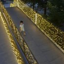 꿈샘어린이집 | 그냥 여름 사진 (까르띠에 트리니티 귀걸이 구매)