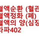 청혈의료기 네이버블로그