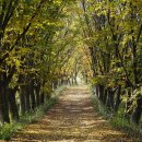 백운한우농장 이미지