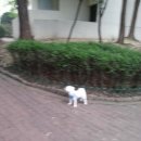 화랑동물병원 이미지