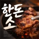 한돈소
