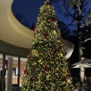 자연주의쌈밥 | 수락휴 레스토랑, 수락휴 식당 방문 후기 <씨즌서울 바이 홍신애>