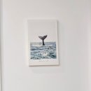 블루샥일광점