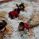 운수초교병설유치원 이미지