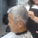 위양지 관광농원 Daum카페