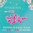 상서농장 | 🌸 제7회 개암동 벚꽃축제 후기｜벚꽃길·개암사·병아리체험까지, 오감만족 힐링여행