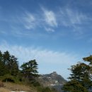 (주)바다여행사