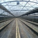 민국농장 이미지