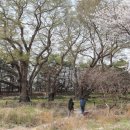 한정보건진료소 이미지