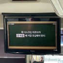 맘편한약국 | 아직도 약국에서 사세요? 요즘 관절 보호대 대박은 ‘여기’