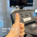복합극 “울 줄 모르는 고양이” | 6월의 끝자락(with. 효채지)