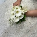 김은정 | 10월 본식 부케 후기 : 김은정웨딩 '작품 부케' 가격 &amp; 현금 결제 솔직 썰 (내돈내산)