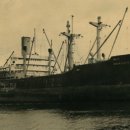 메러디스빅토리 이미지