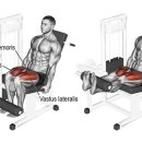 피트니스 13월 이미지