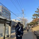 [윌슨 테니스 가방] UNI 이지 테니스 백팩 구매 후기
