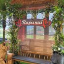 바람의 언덕 | 원주 호저면 신상 베이커리 카페 라파누이 음료 바람의 언덕 빵 음료 후기