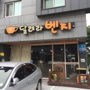 벤지애견 | 진주 초전동 강아지카페/애견카페 달려라벤지 두번째방문 솔직후기