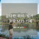 [잡다한취미] 감성과 호러 그 어딘가, 필름카메라 기록(코닥M35사용기, 필카인화 정보)