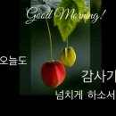 제일큰건강