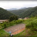 초두농장 이미지