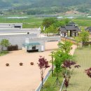 뿌리깊은나무박물관 이미지