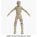 붕대 감긴 미라의 모습 이미지