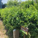 소촌경로당 이미지