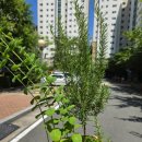 진평길-1 이미지