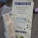 주니코기 | 우드스틱 사이즈 실패인 줄 알았는데 반전?! 이갈이 중인 웰시코기 소다의 폭풍 갉아먹기 대성공 후기 ✨
